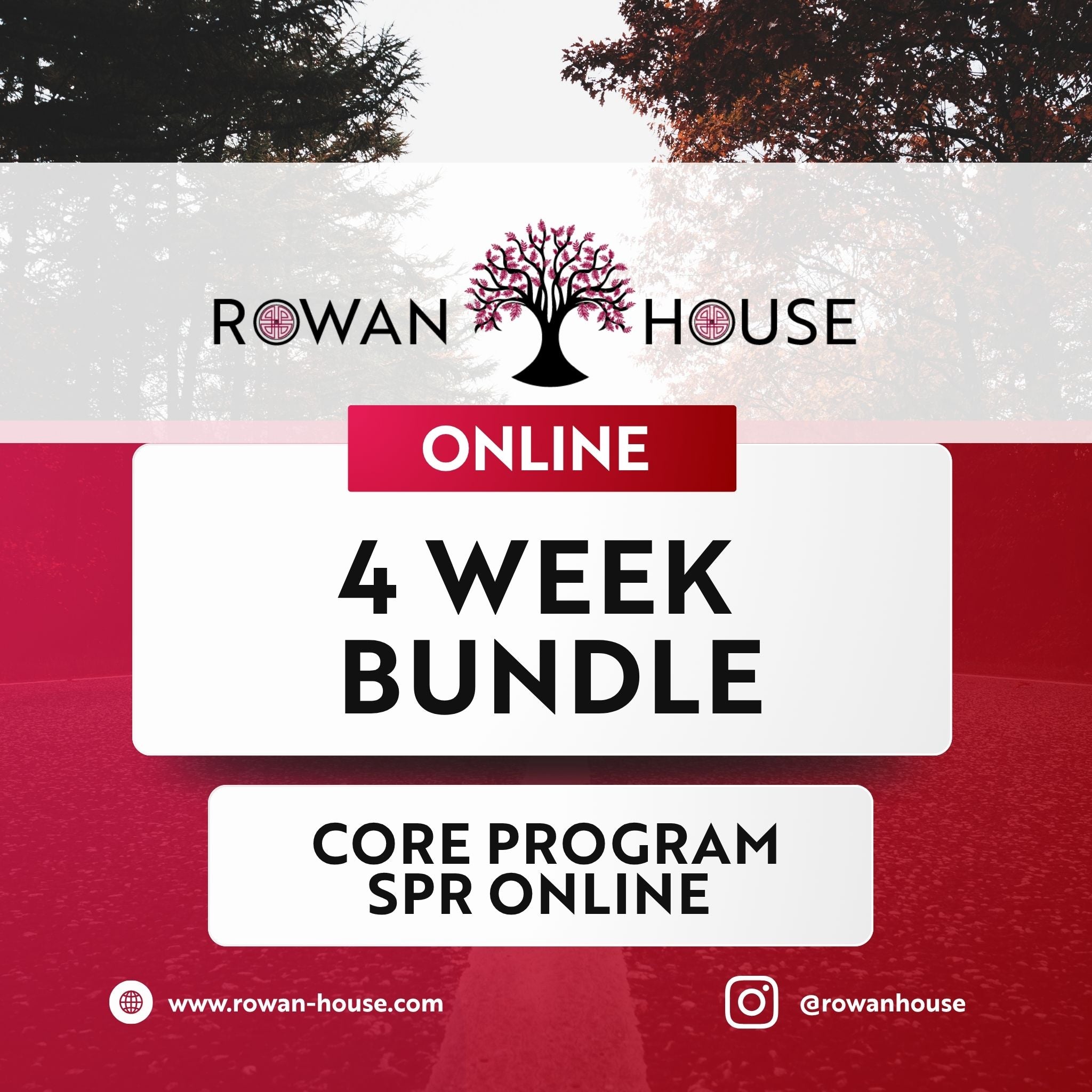 SPR Online – 4 Week Core Program