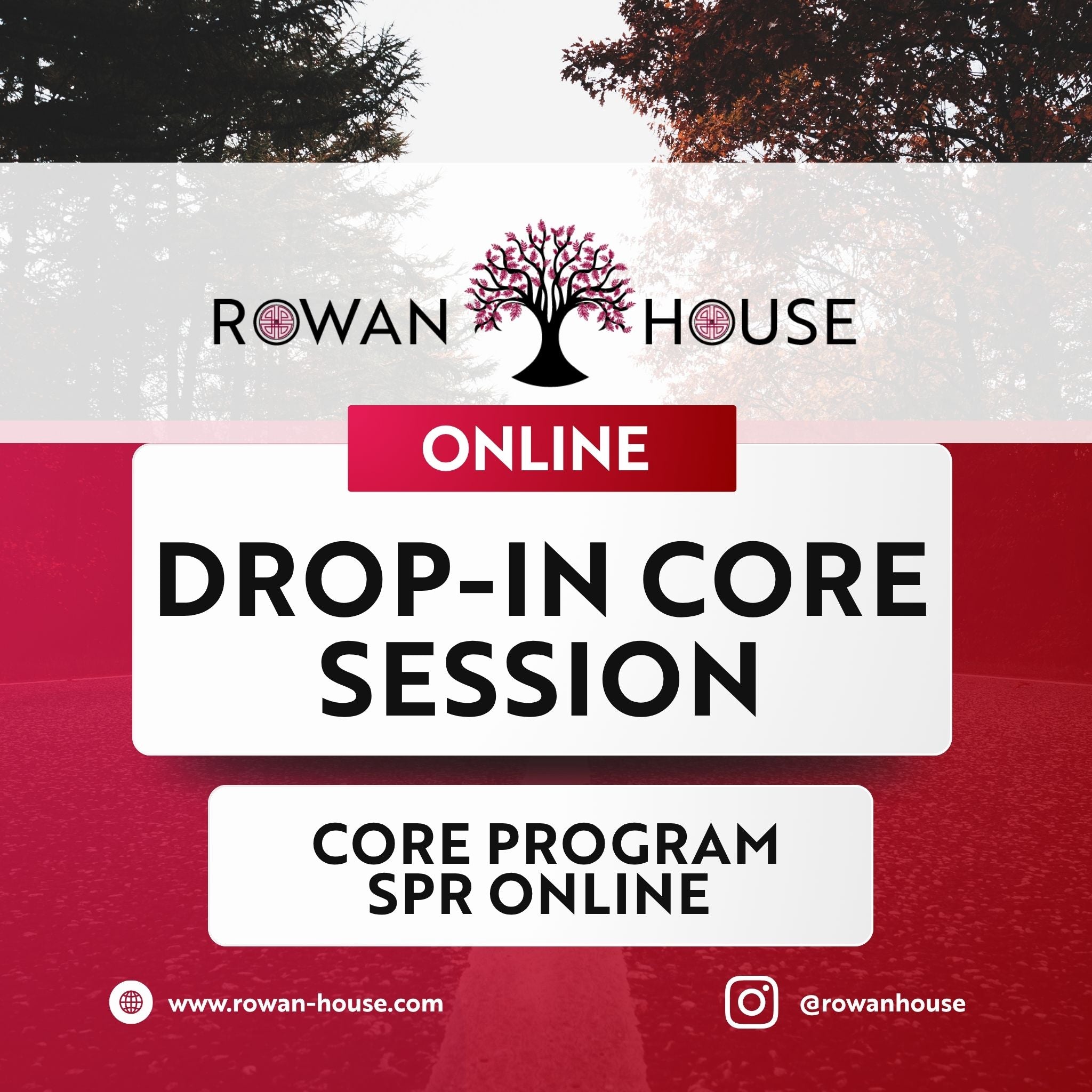 SPR Online – Drop-In Session