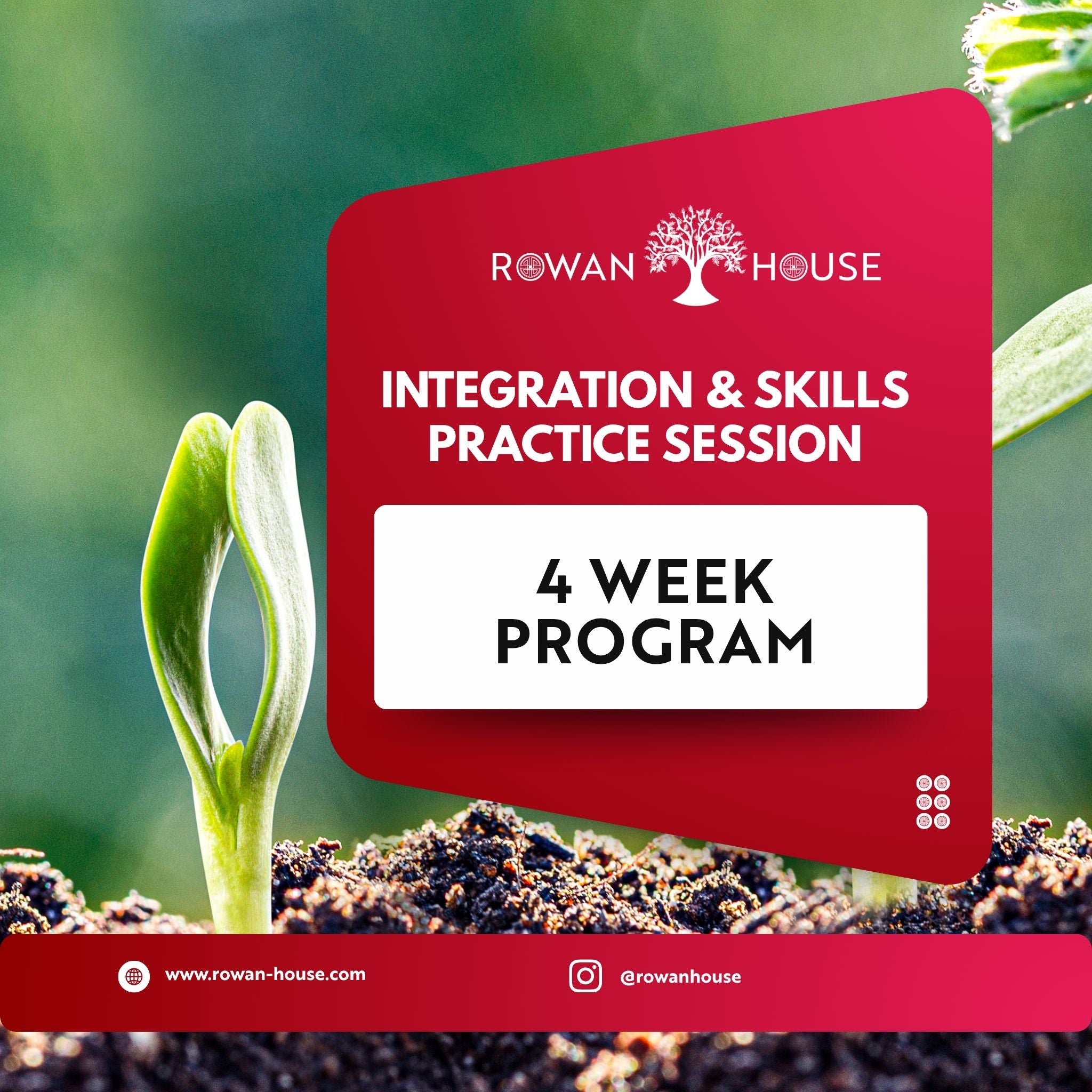 Integration Skills – 4 Week Program