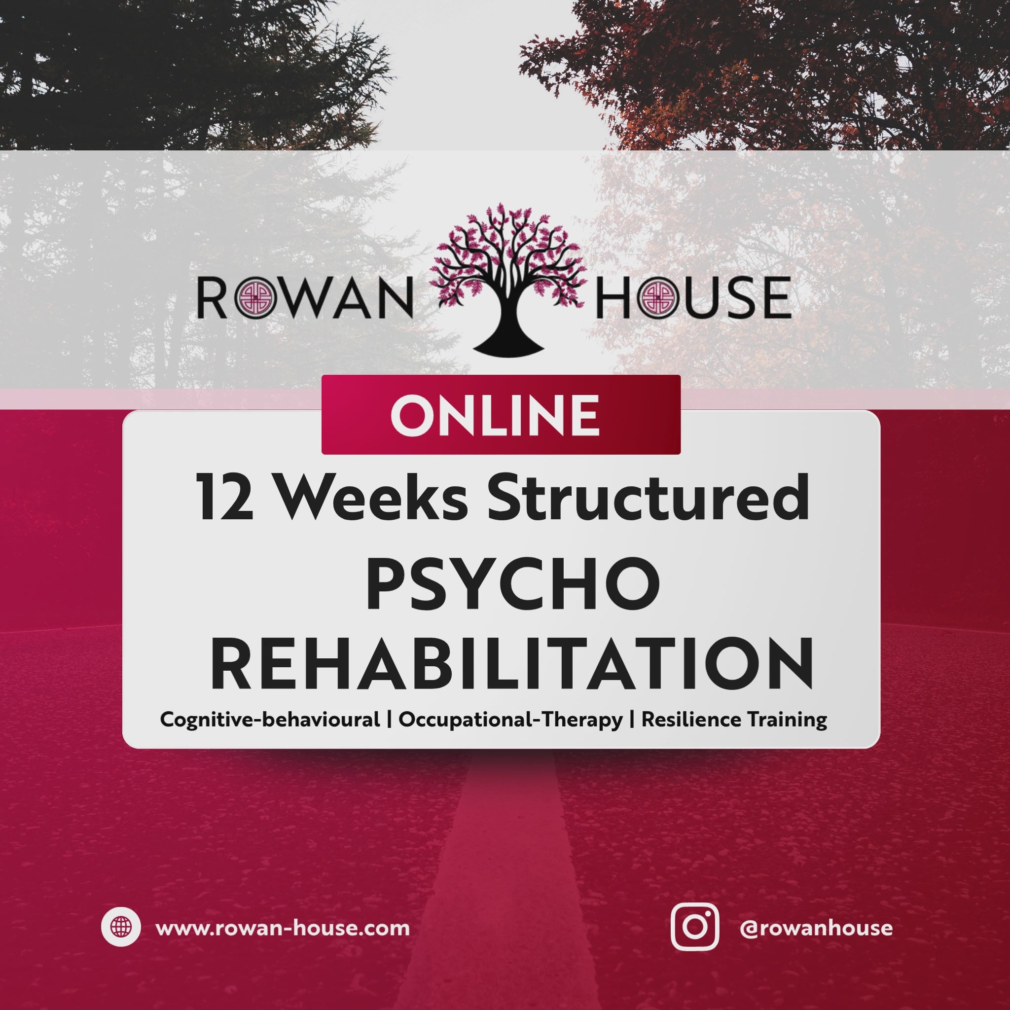 SPR Online – 12 Week Core Program