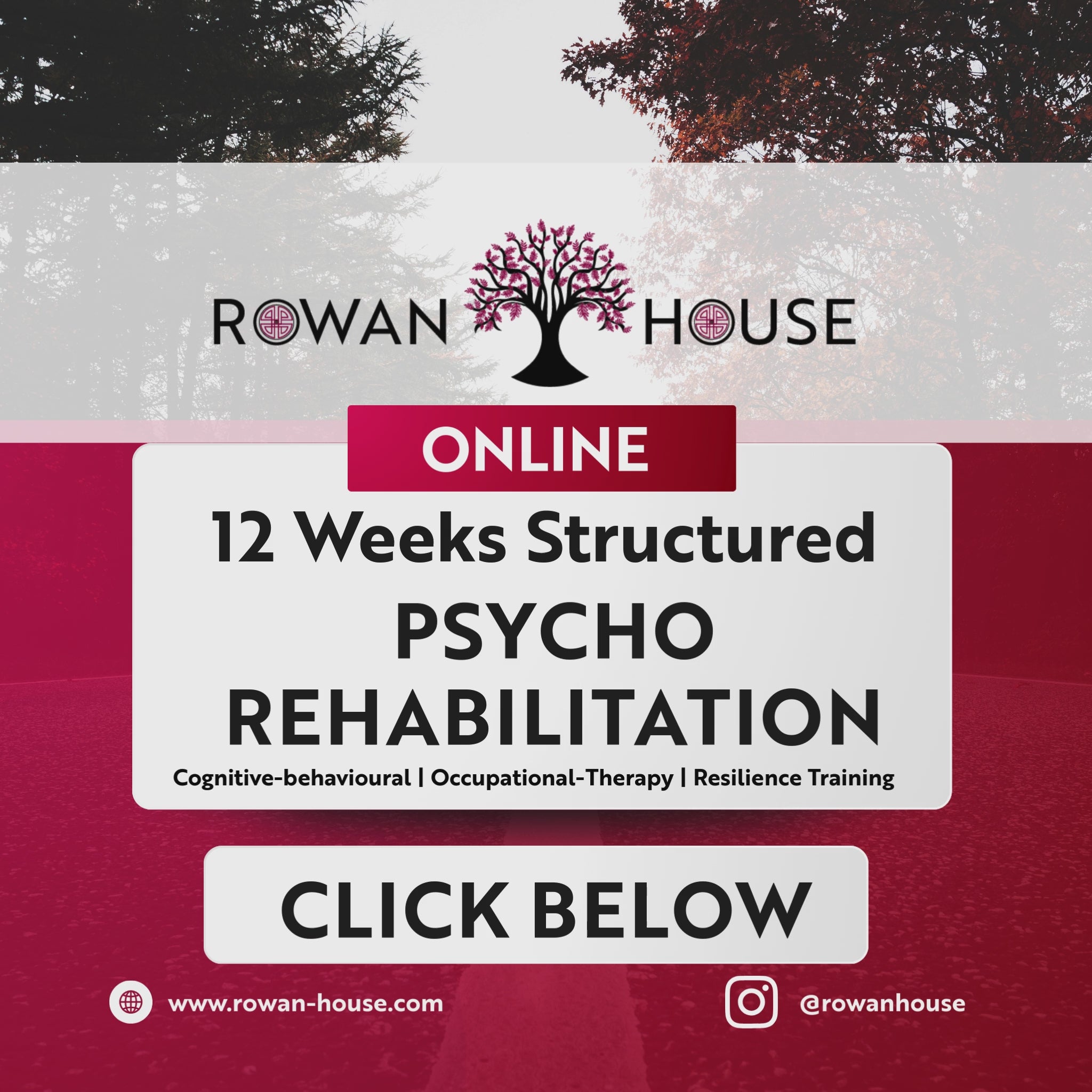 SPR Online Cohort Program